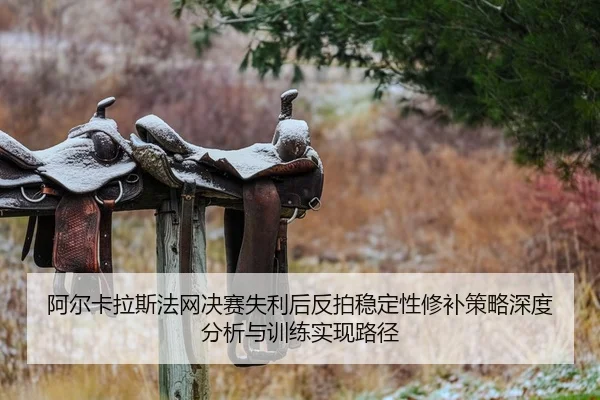 a-er-ka-la-si-fa-wang-jue-sai-shi-li-hou-fan-pai-wen-ding-xing-xiu-bu-ce-lve-shen-du-fen-xi-yu-xun-lian-shi-xian-lu-jing-2-993.jpg