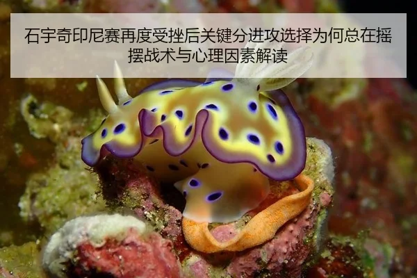 shi-yu-qi-yin-ni-sai-zai-du-shou-cuo-hou-guan-jian-fen-jin-gong-xuan-ze-wei-he-zong-zai-yao-bai-zhan-shu-yu-xin-li-yin-2-459.jpg